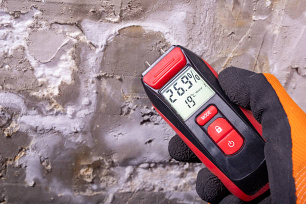 Best Post-Flood Mold Remediation in Fort Myers Shores, FL